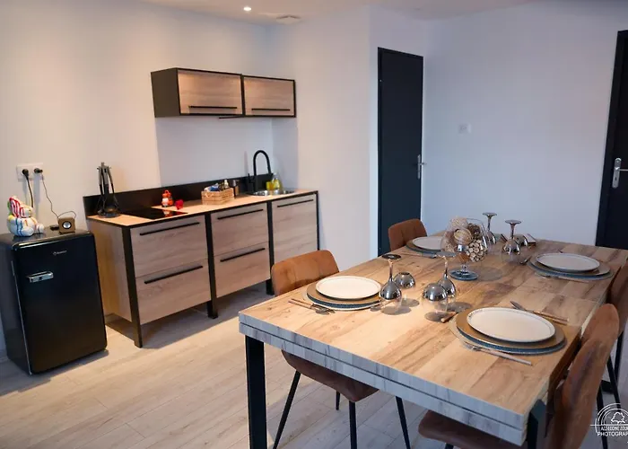 Daire Le Loft & Garden Et By Nancyintimelounge Nancy